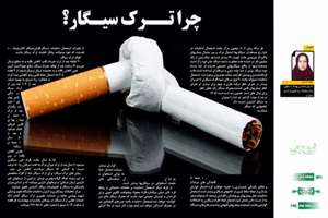 همکاری با نشریه «نفس باد صبا»